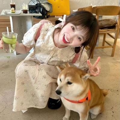 青春谎言之旅